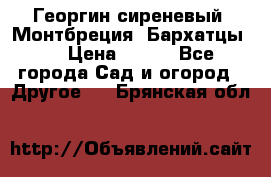 Георгин сиреневый. Монтбреция. Бархатцы.  › Цена ­ 100 - Все города Сад и огород » Другое   . Брянская обл.